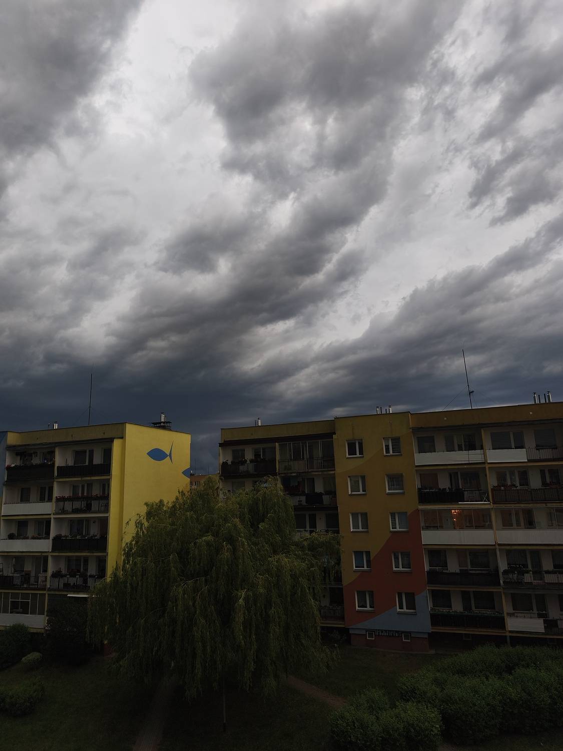 Photo #13749569
