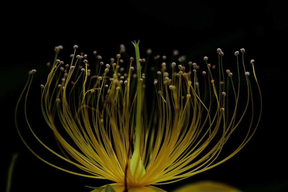 Фотография автора Ikuta Hidenori