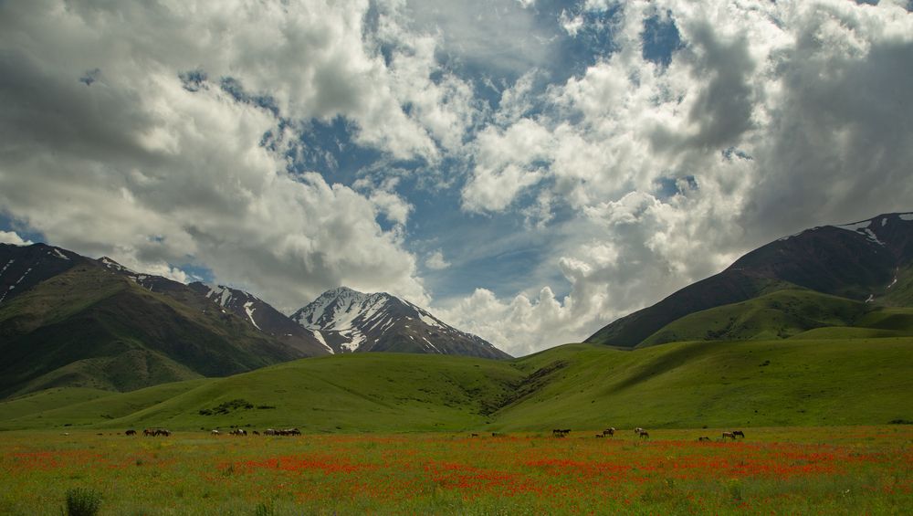 Photograph by Алтынбек Қартабай