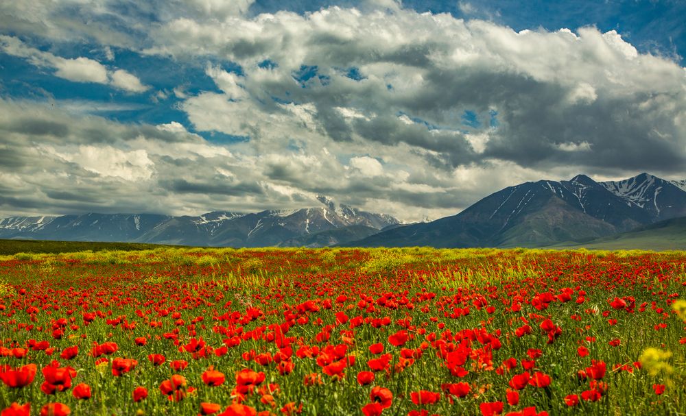 Photograph by Алтынбек Қартабай