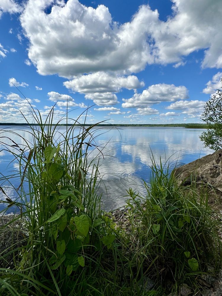 Фотография автора Елена Безперстова