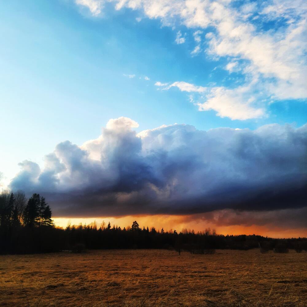 Photograph by Oksana Smorodina