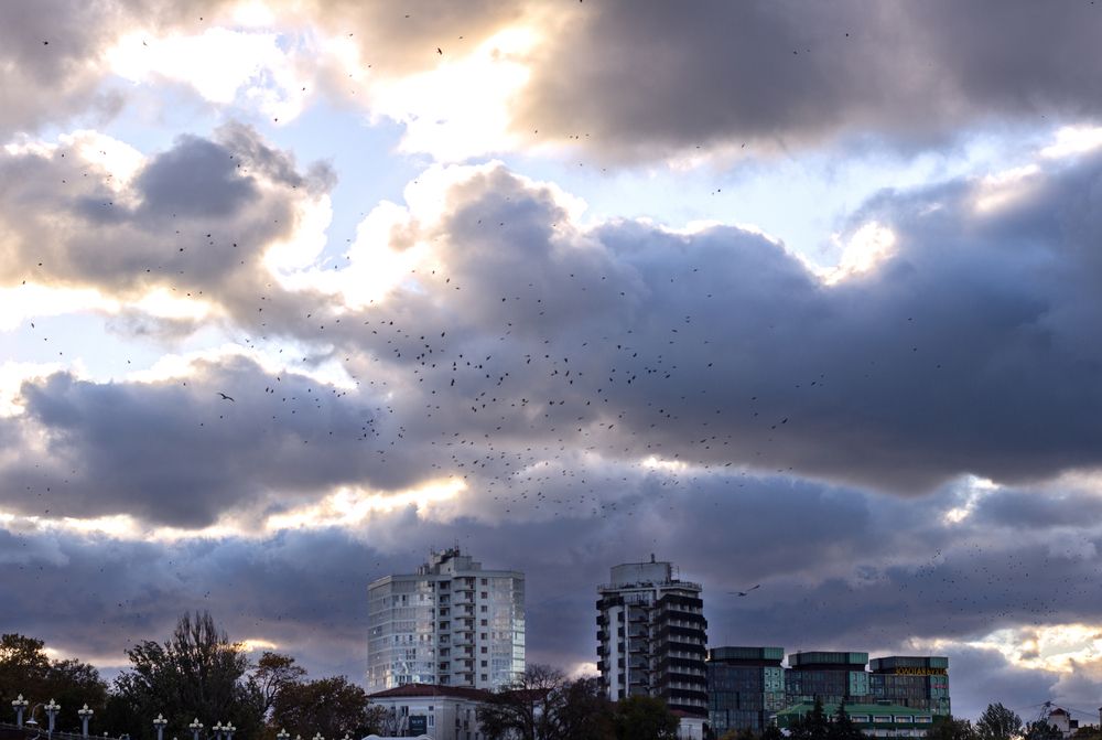 Photograph by Наталья Шевелева