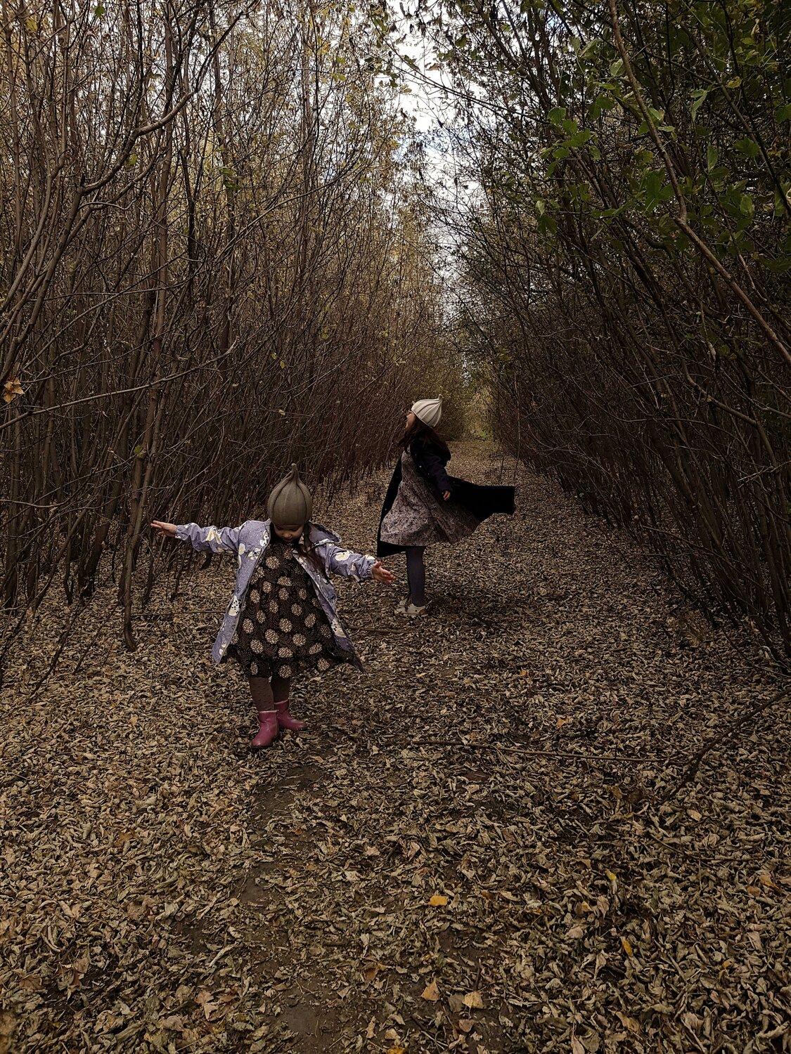 Photo #13749671