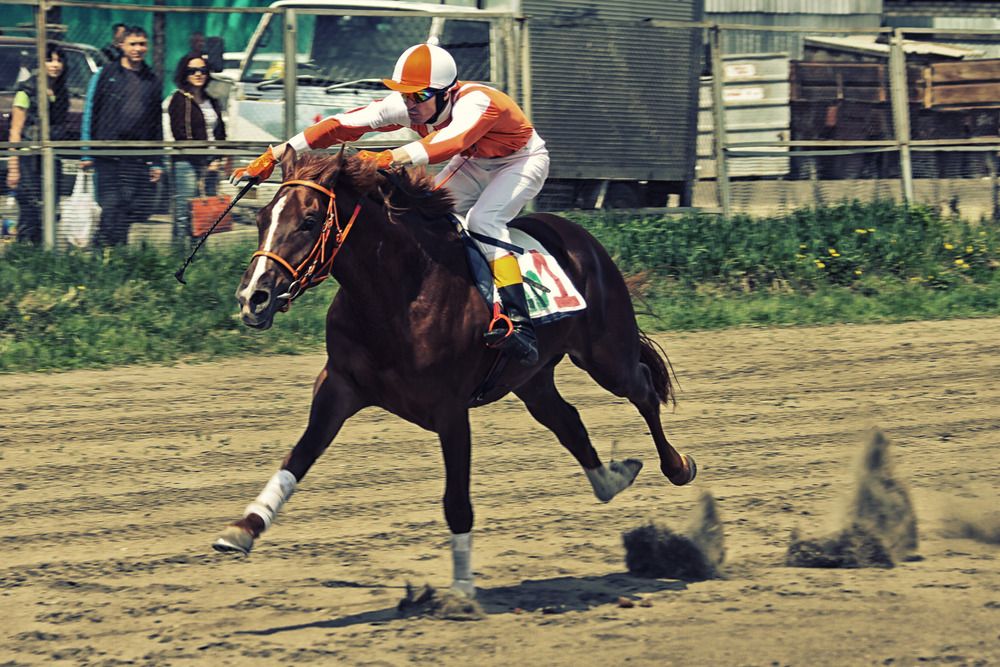 Photograph by Алексей Шалев