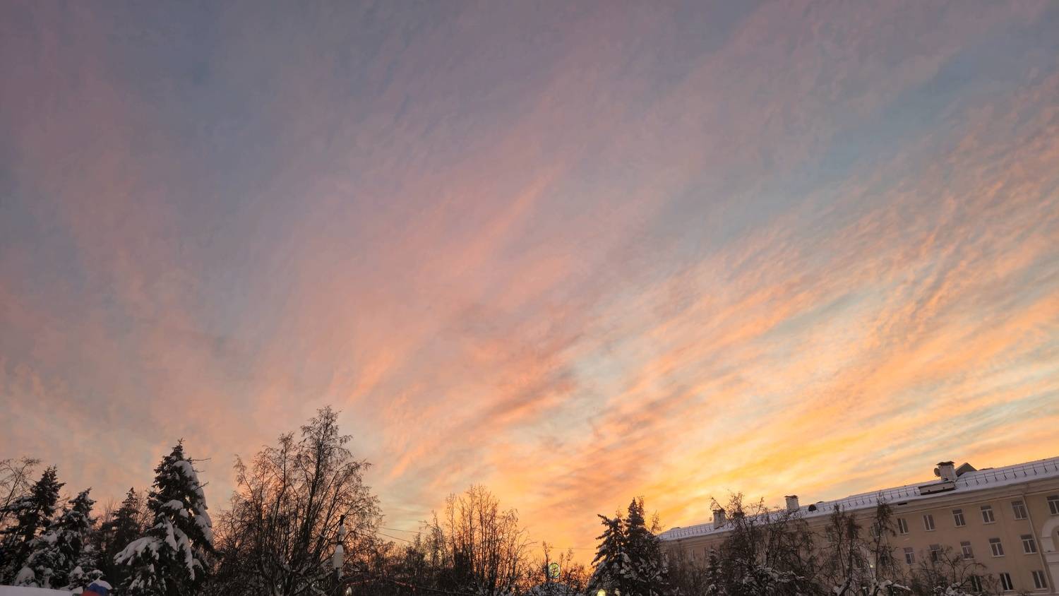 Photo #13749844