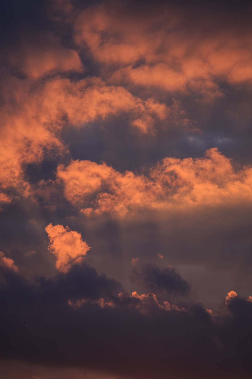Photo #13749860
