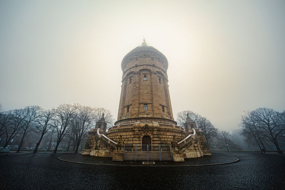 A magnificent symmetrical wide angle photograph showing the famous historical Mannheim water tower surrounded by acer platanoides maple trees inside a thick morning fog