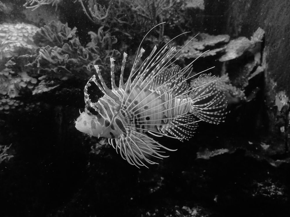 Photograph by Anna Veľasová