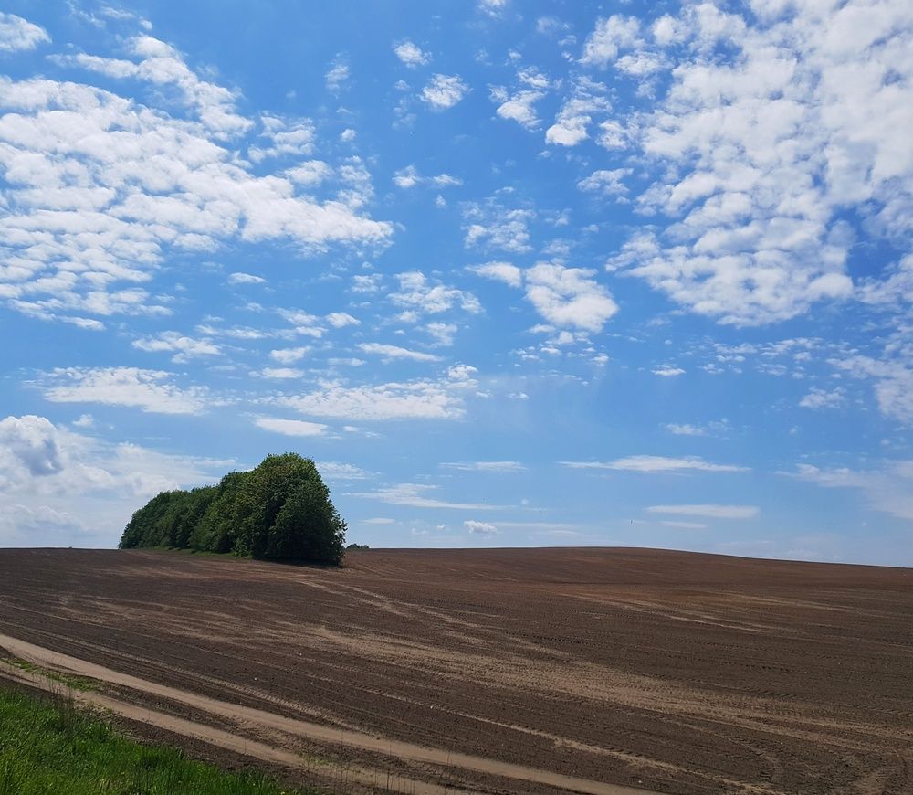 Photograph by артём мякинник