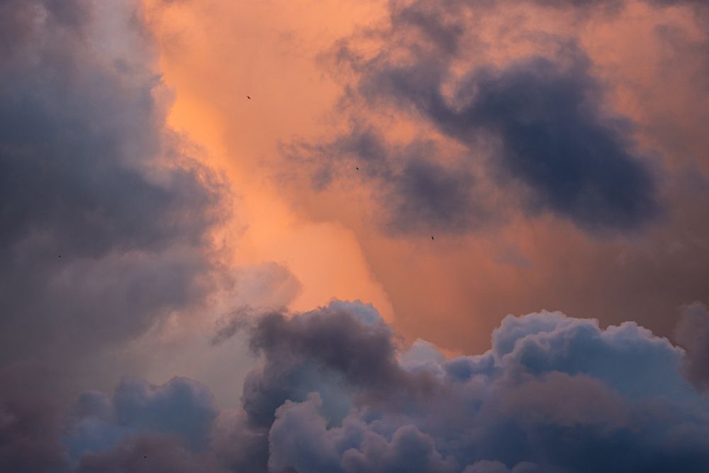 Photograph by Kanashkin Ilya