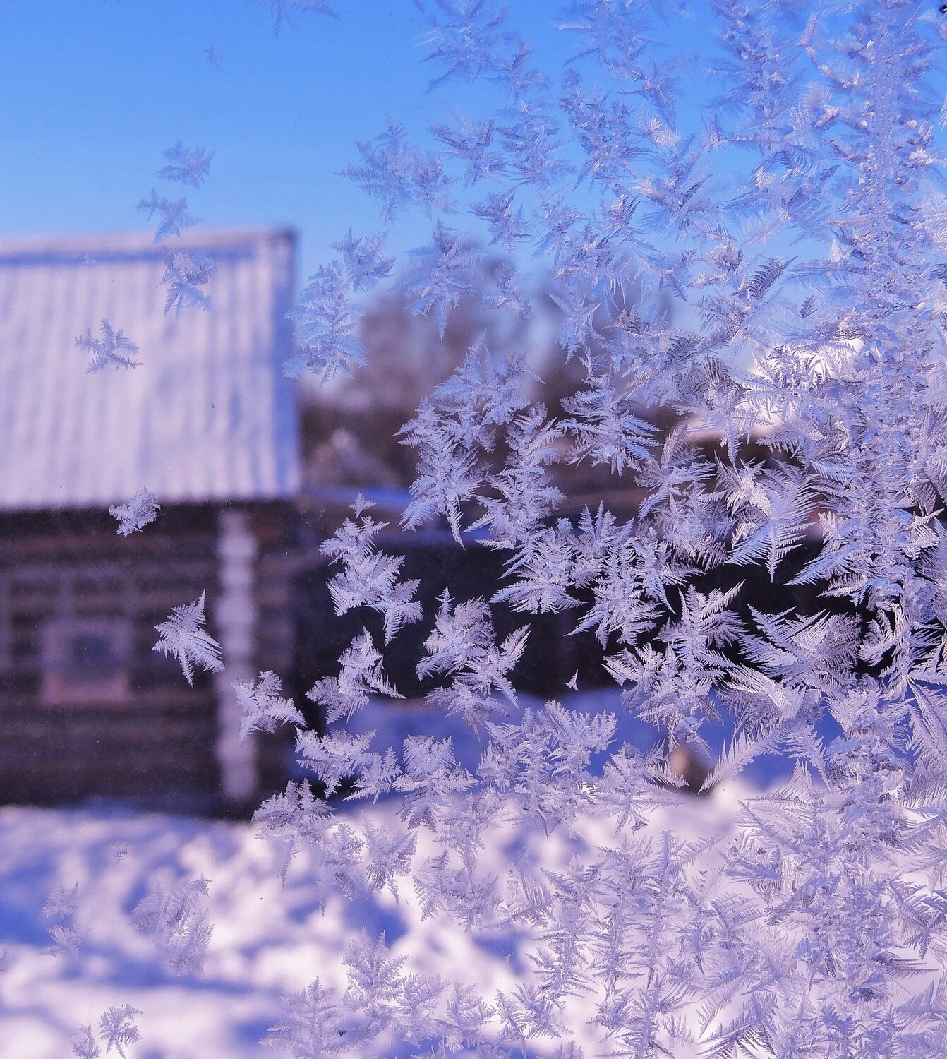 Морозное утро