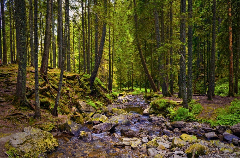 Photograph by Артур