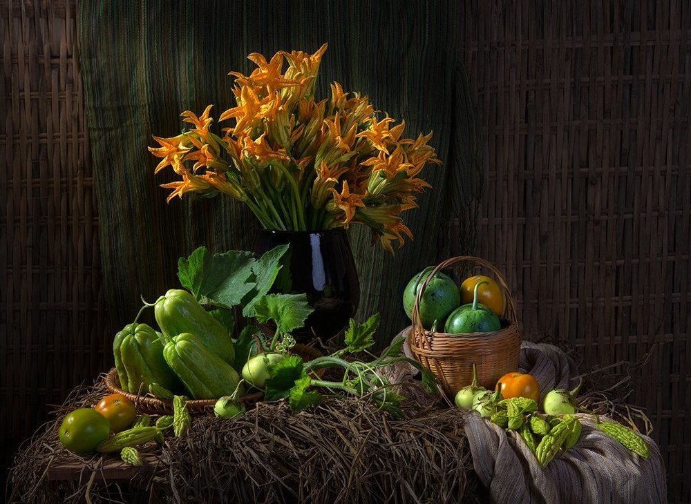 Photograph by Polar Polar