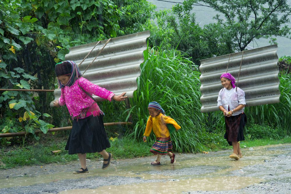 On the way back home