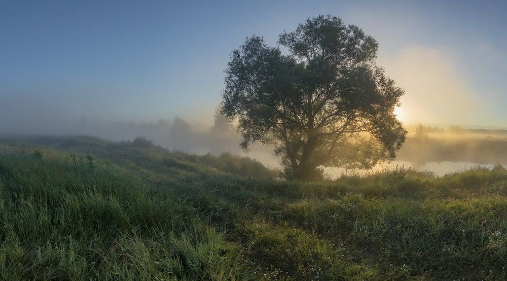 дорога утренней росы