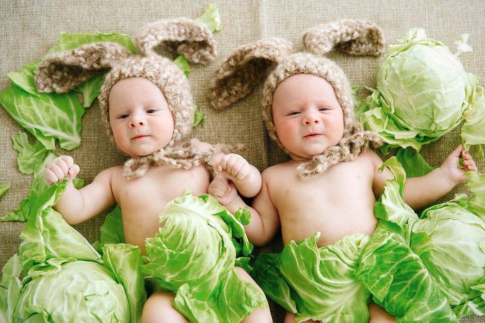 Зайки и капуста.