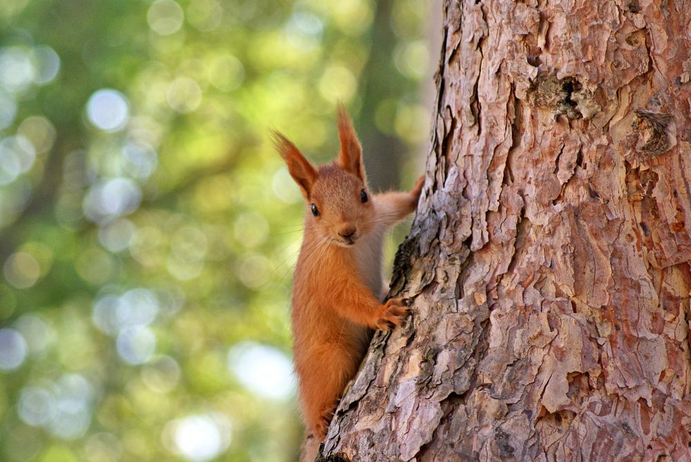 Эти глаза напротив...