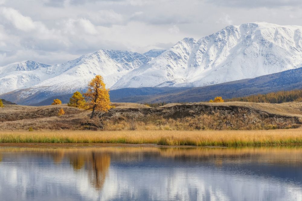 Алтайские контрасты