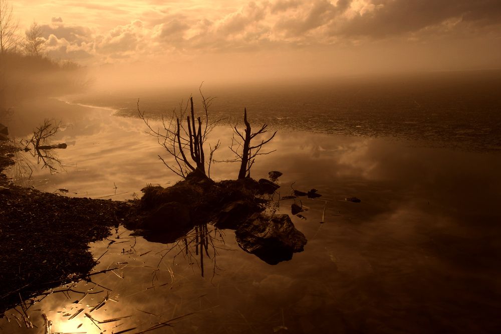 Будто бы в затерянном мире