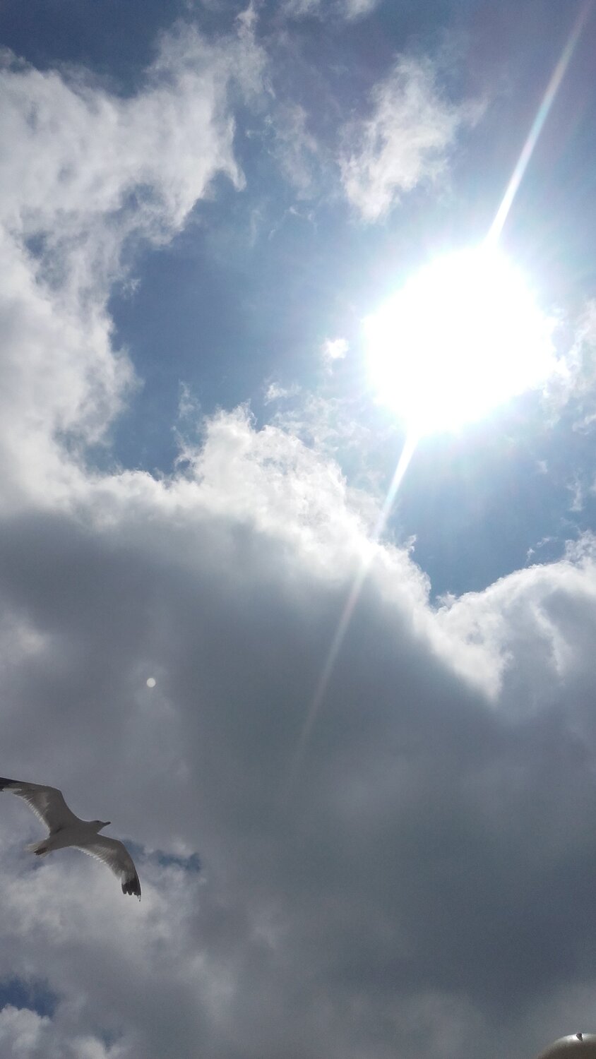 Photo #1377122