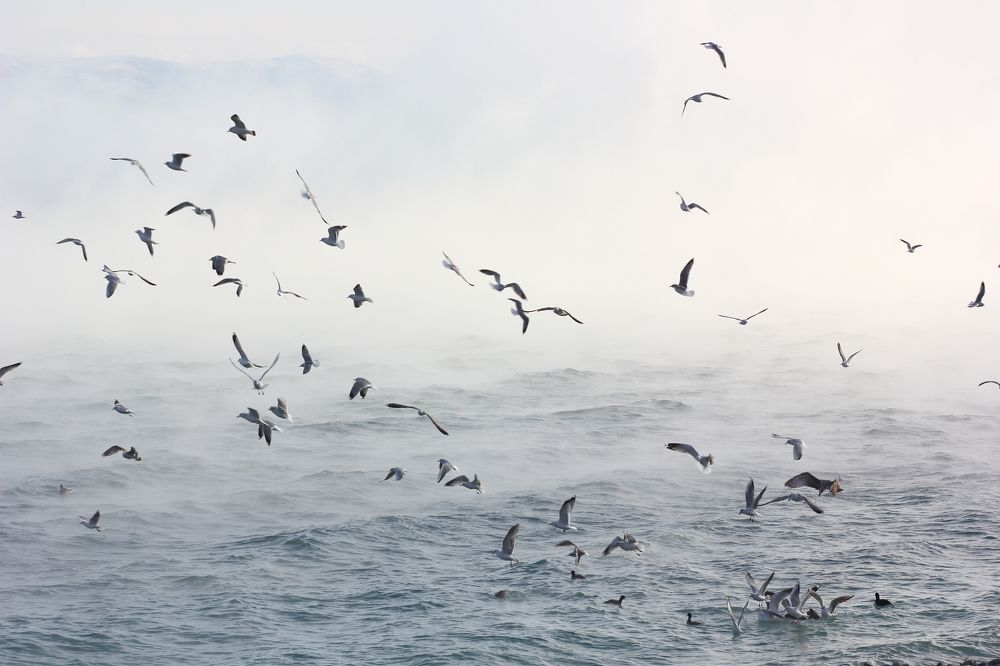 Photograph by Алмакаев Кирилл