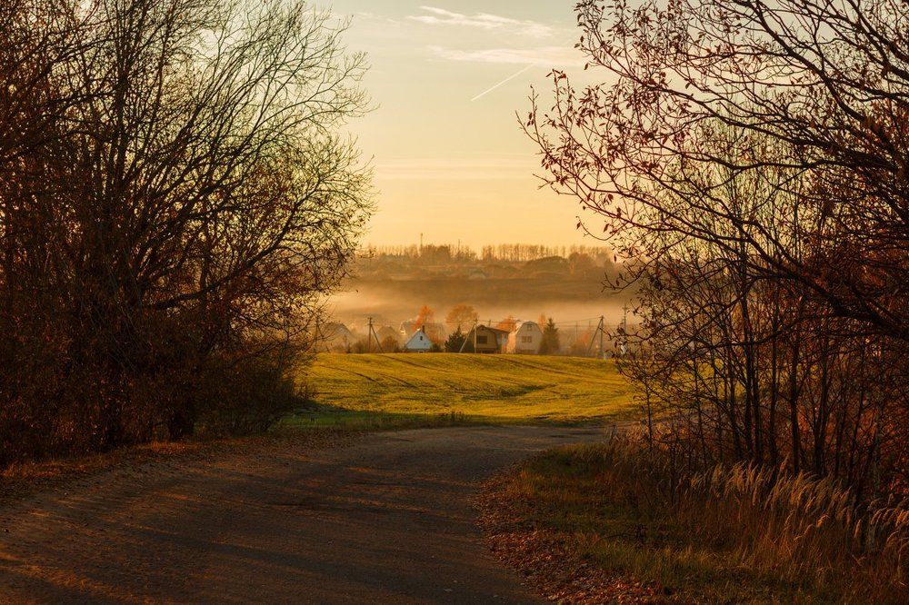 Photograph by Pleshkova Anastasiya