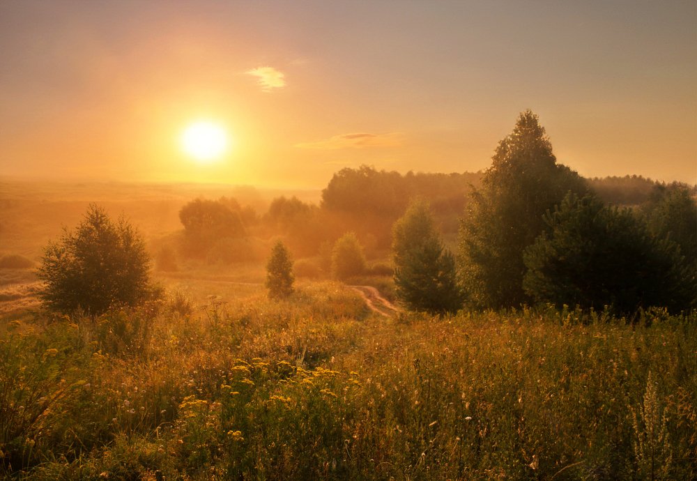 Утренние медовые туманы