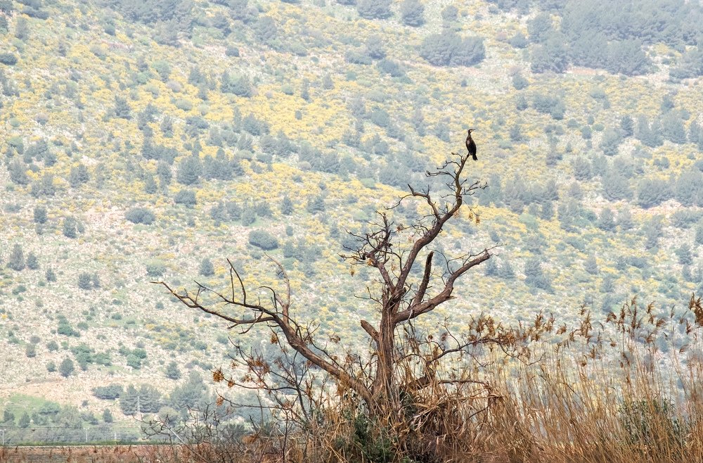 На страже заповедника.