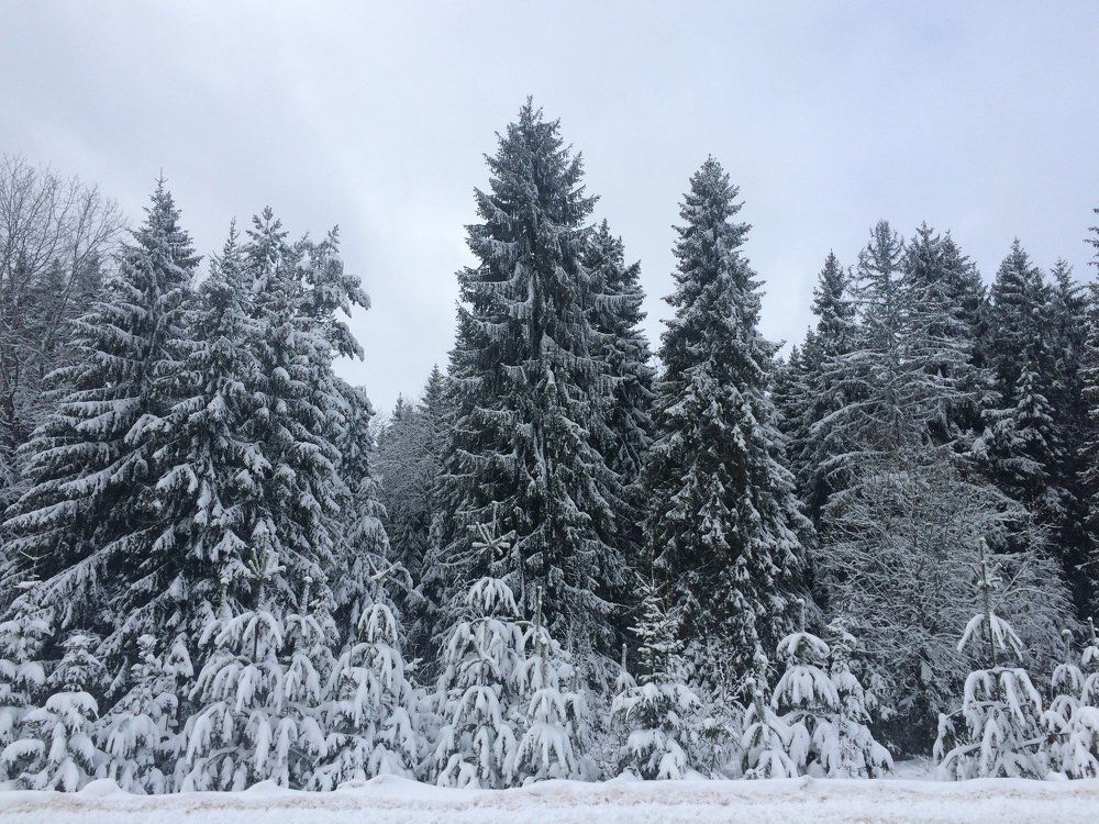 Настоящая зимняя сказка без фильтров и обработок