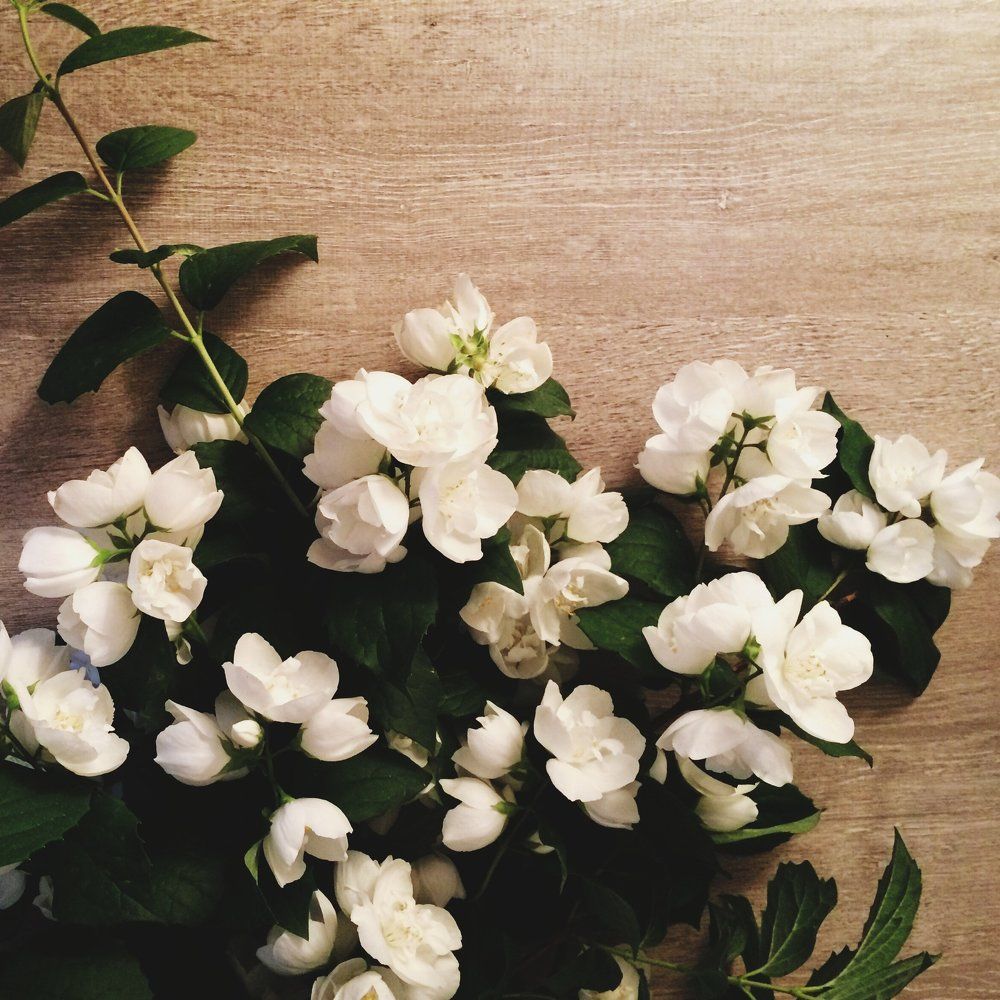 Photograph by Екатерина