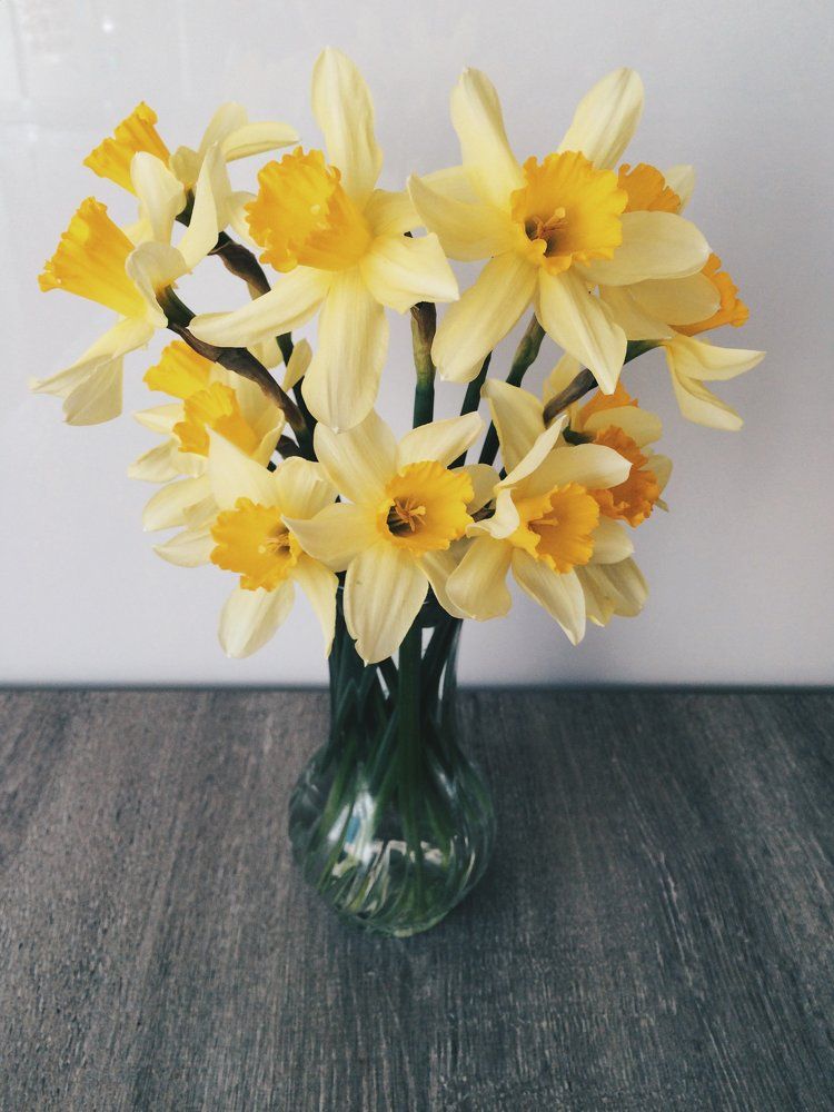 Photograph by Екатерина