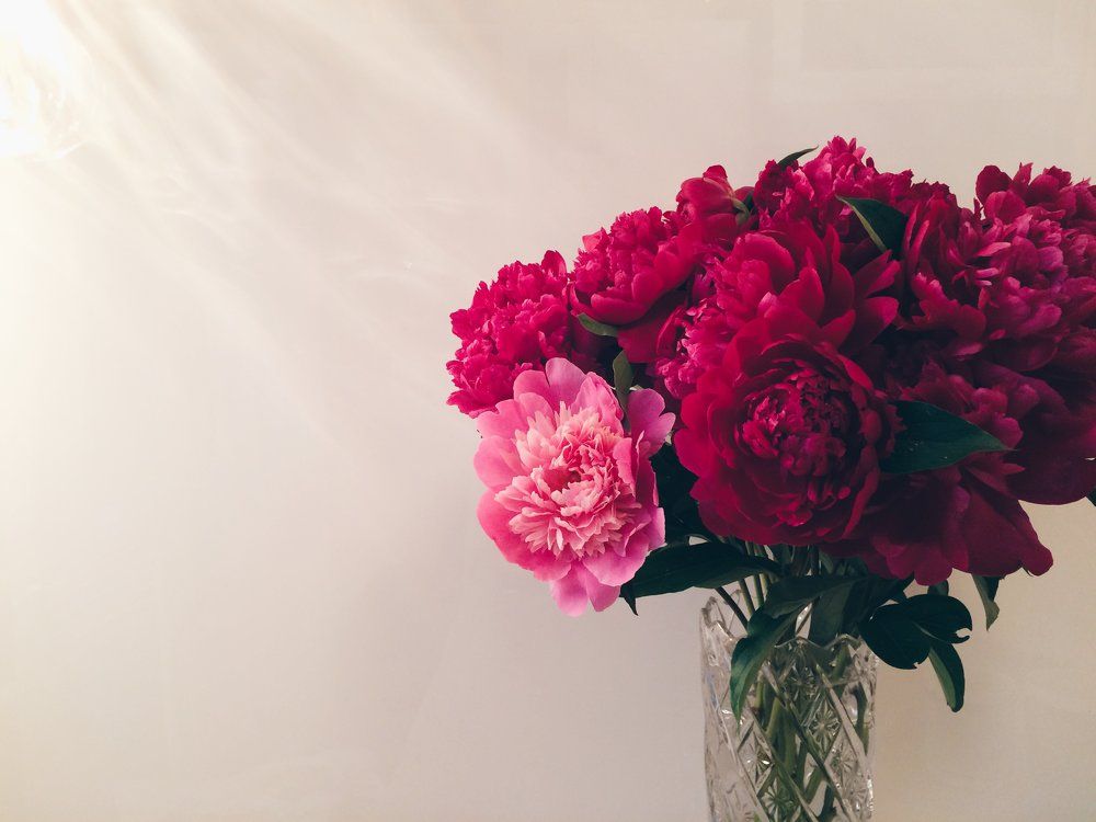 Photograph by Екатерина