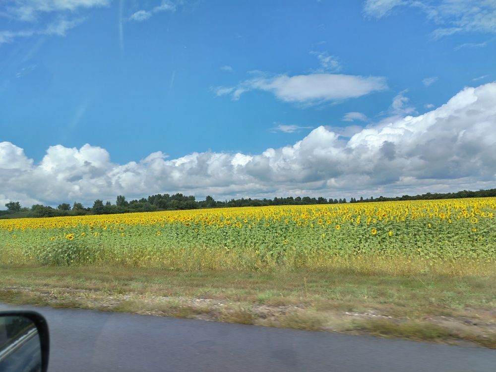 Photo #13750036