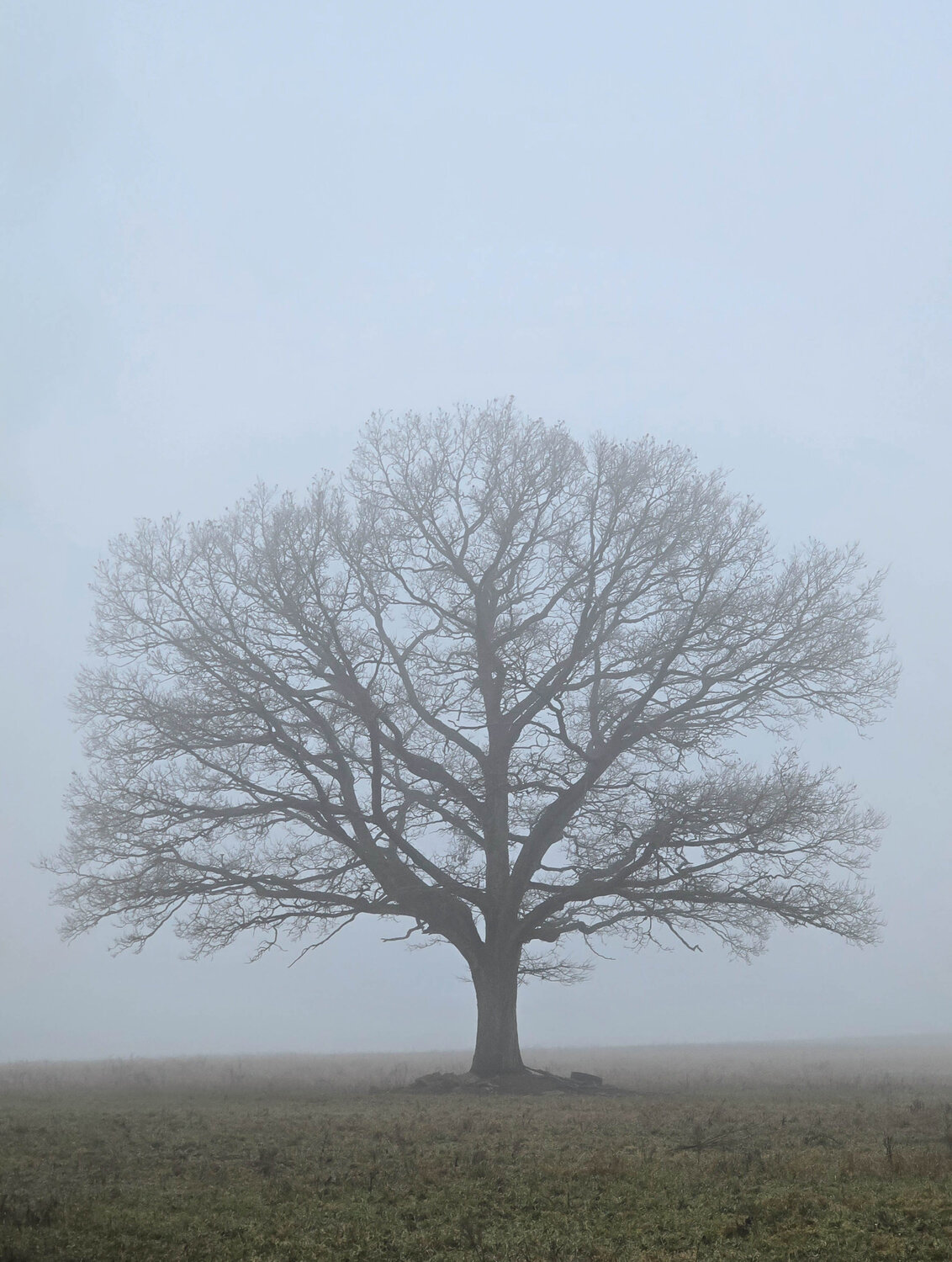 Photo #13750077