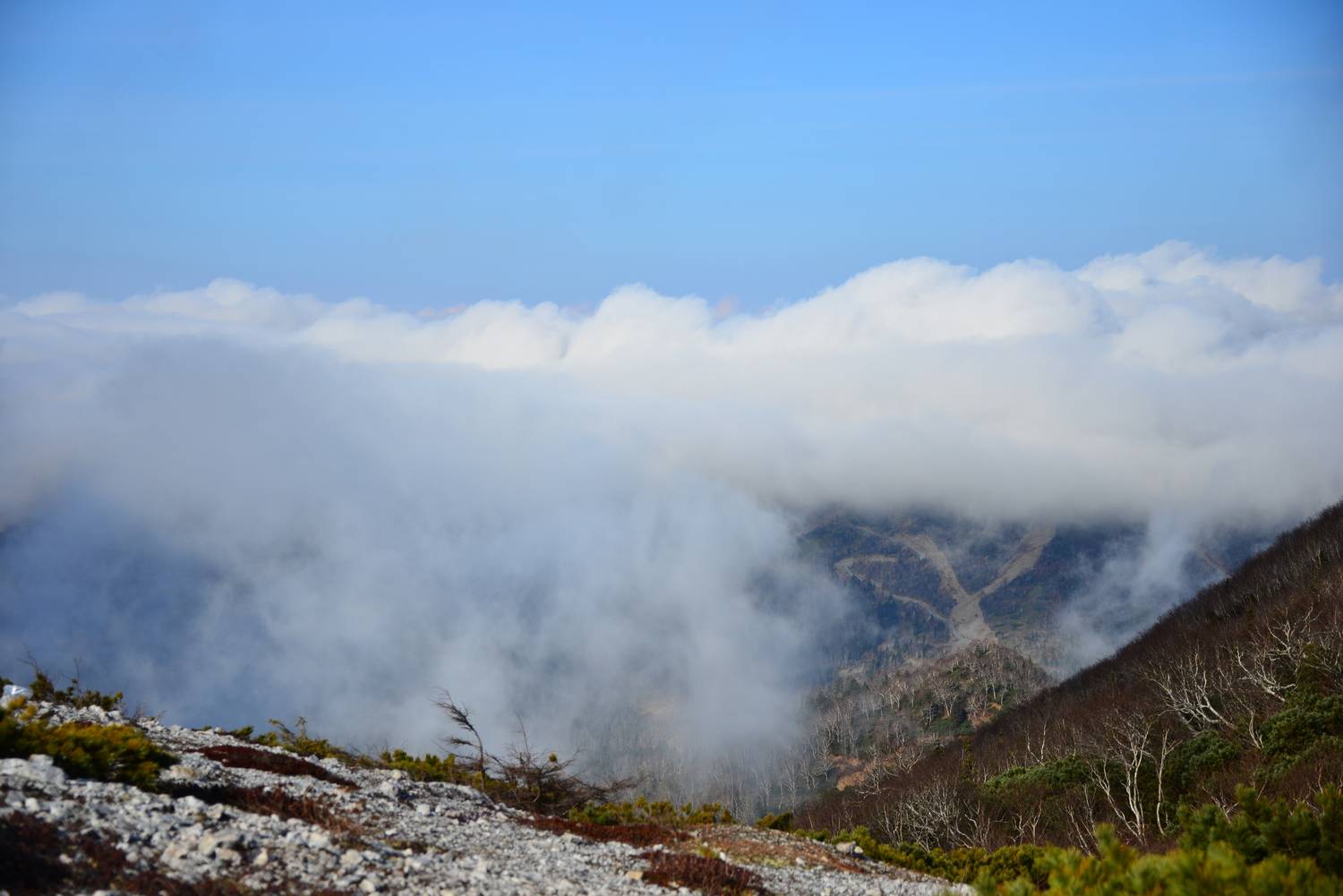 Photo #13750110