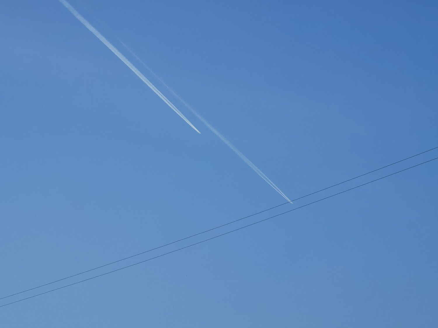 Photo #13750125