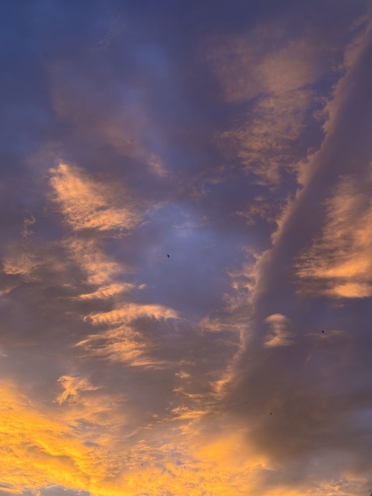 Photograph by Julia Subbotina