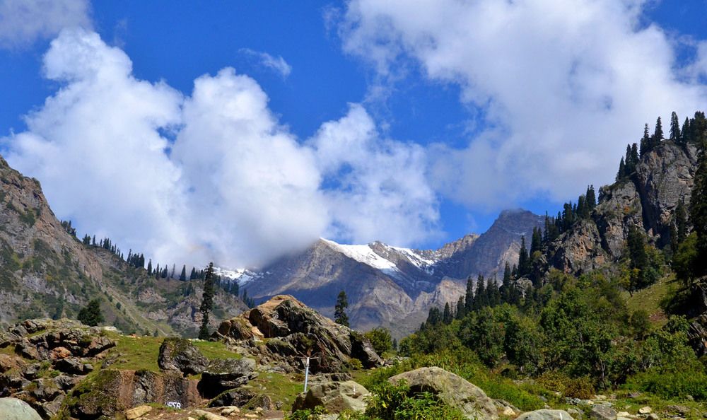 Photograph by sunil kumar mukhopadhyay