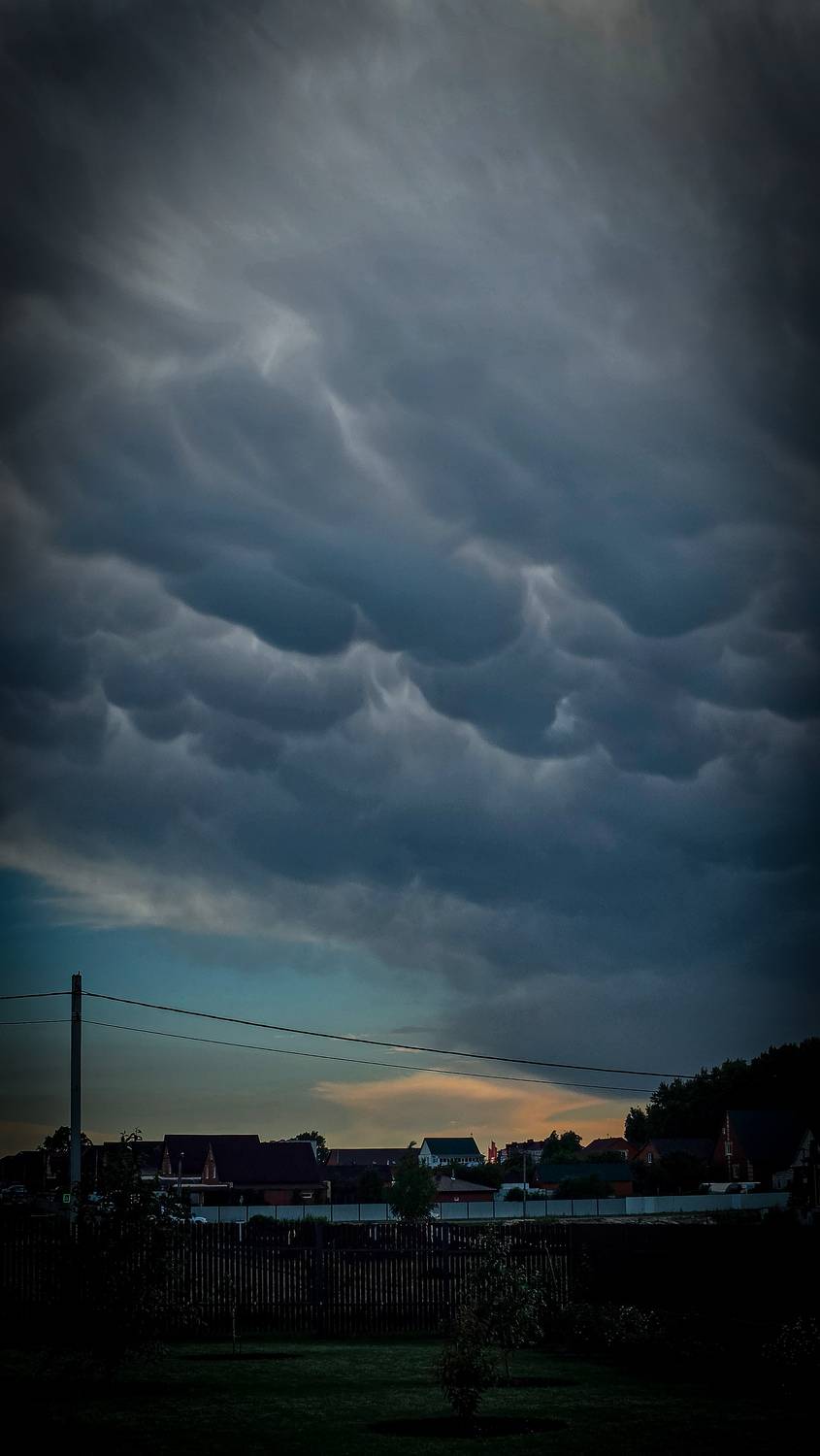 Photo #13750262