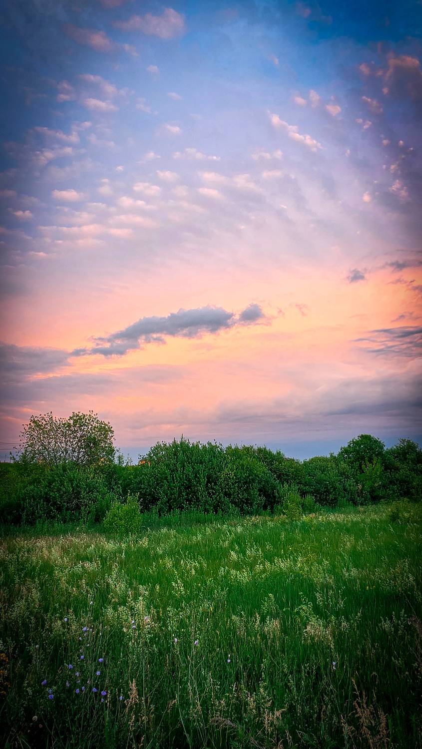 Photo #13750263