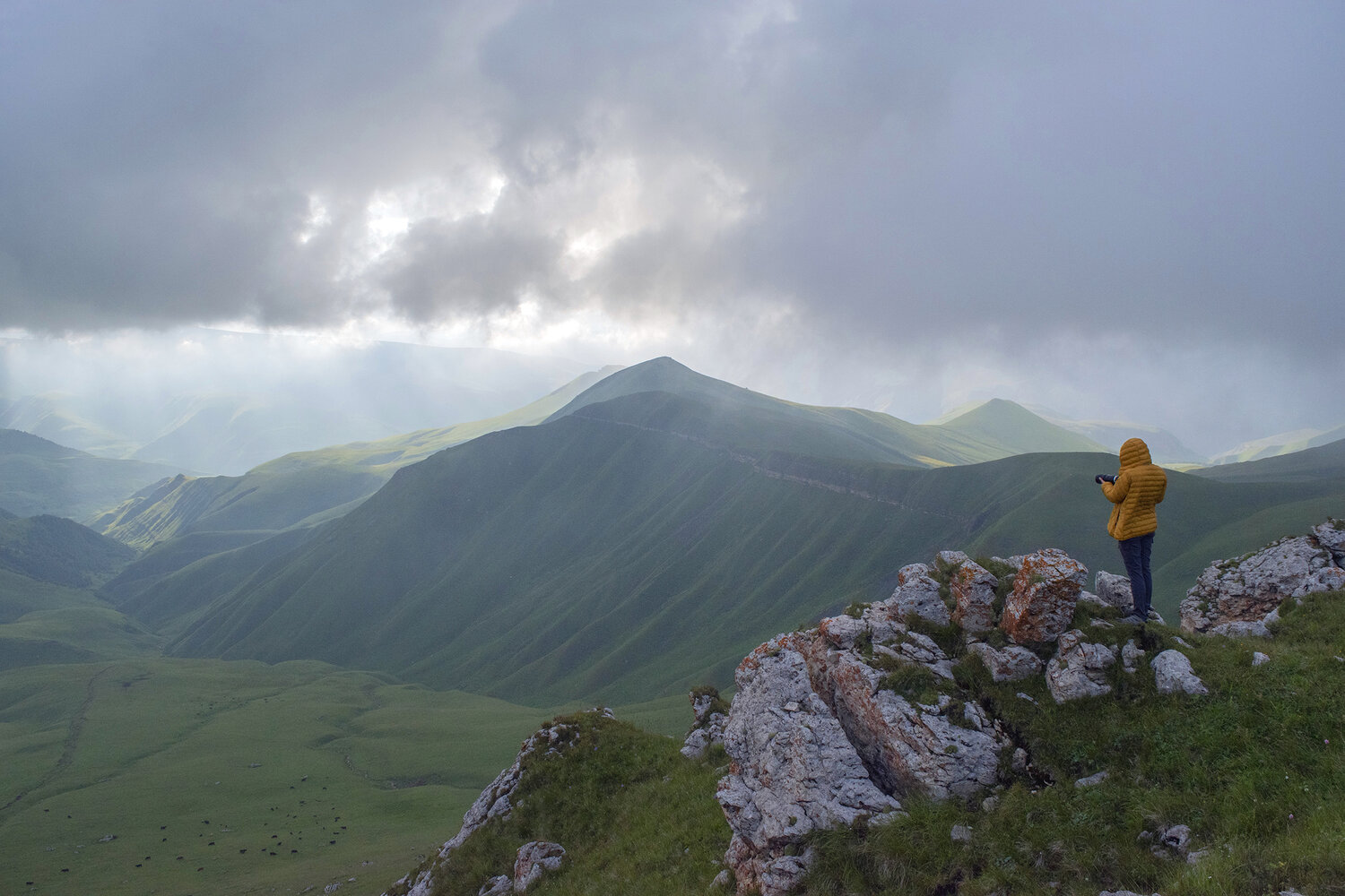Photo #13750326