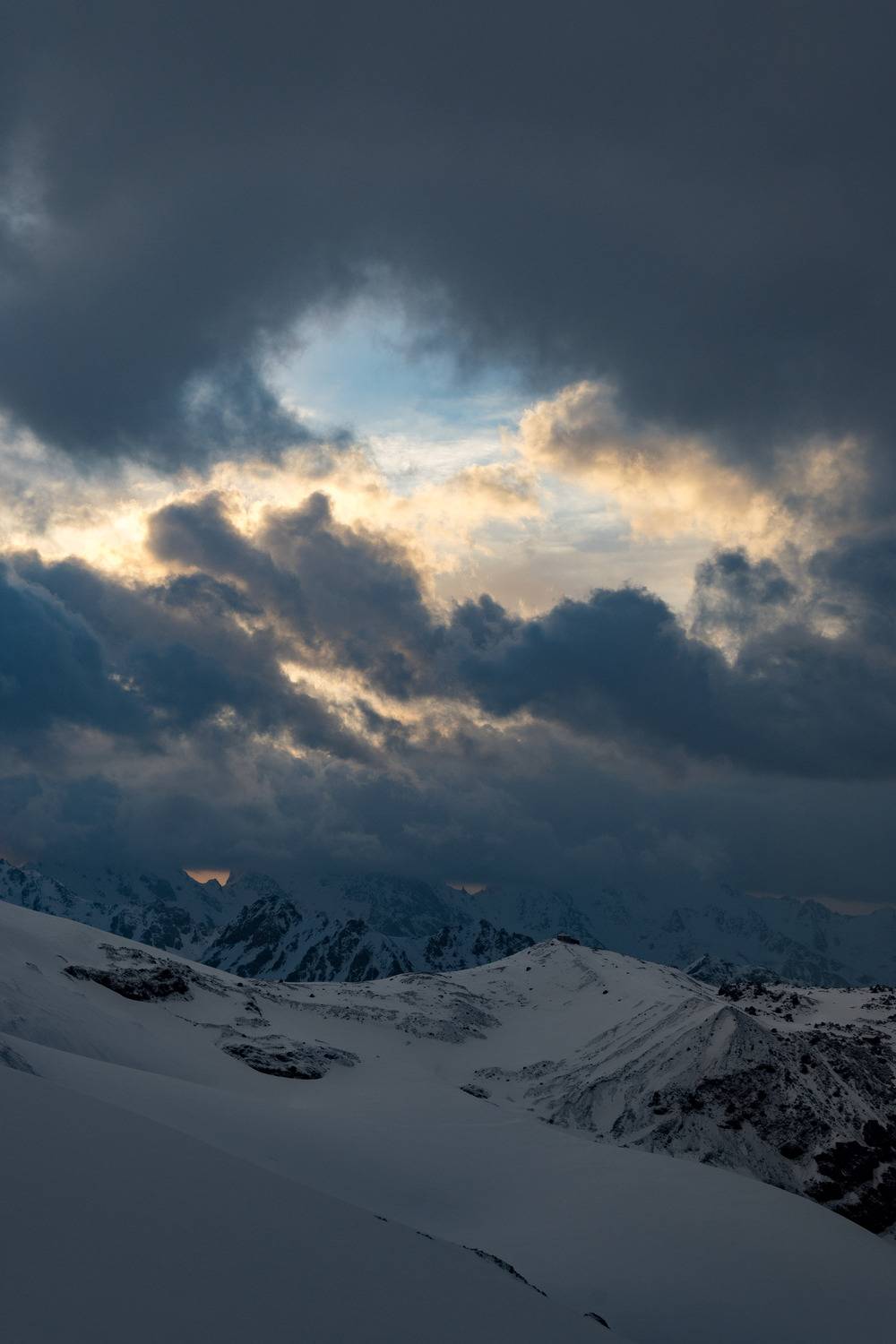 Photo #13750388