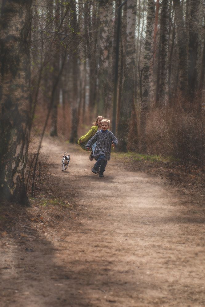 Photograph by Алла Андреева