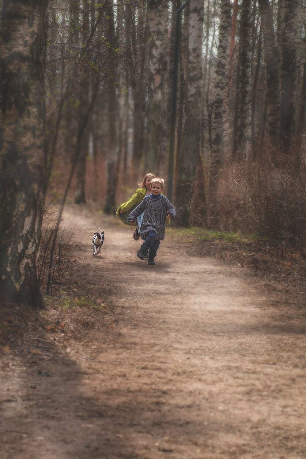 Photo #13750413