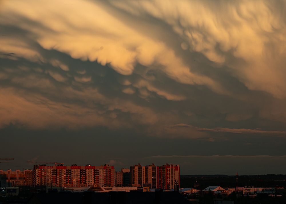 Photograph by Елена Николаева