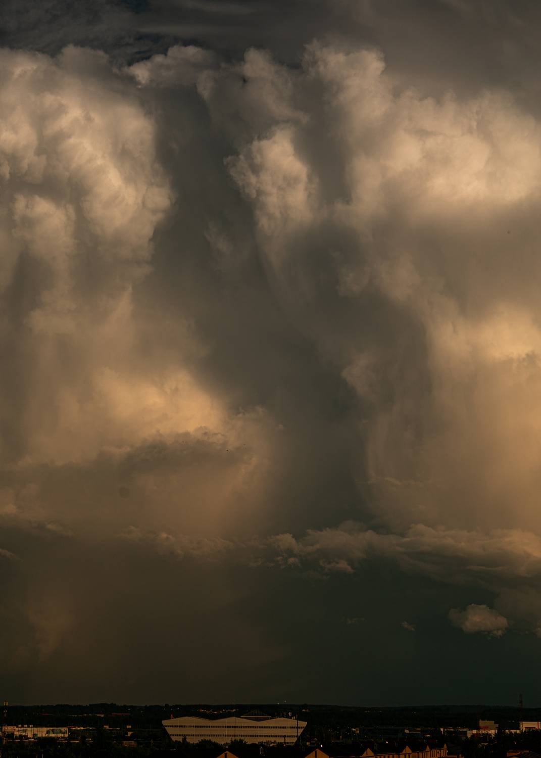 Photo #13750435