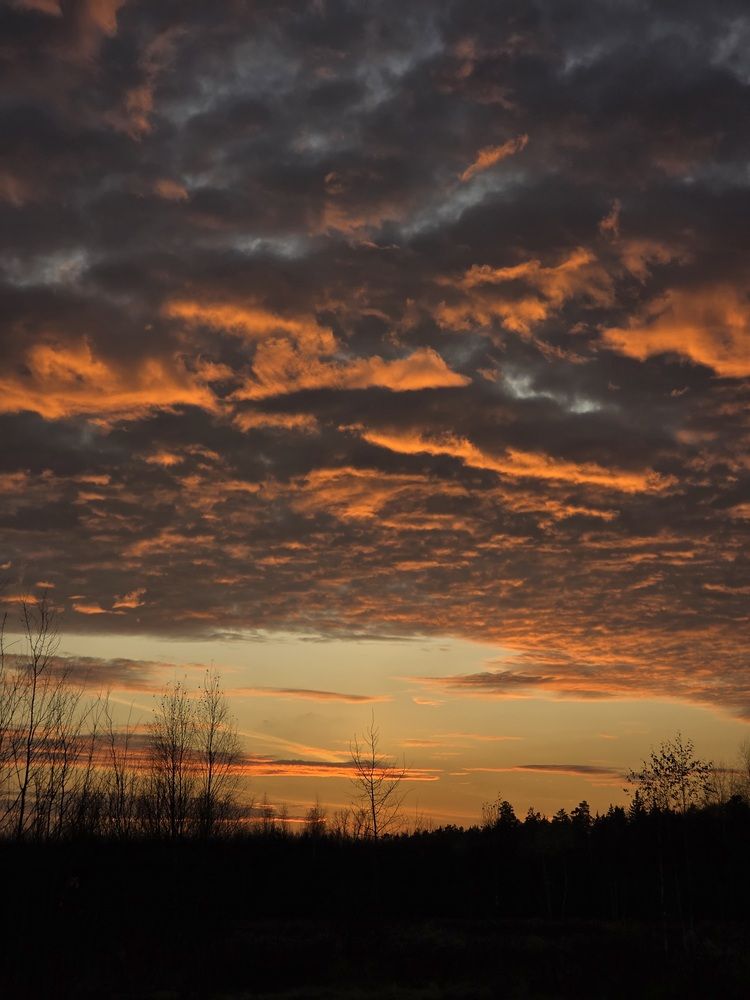 Photograph by Анна Хмелькова