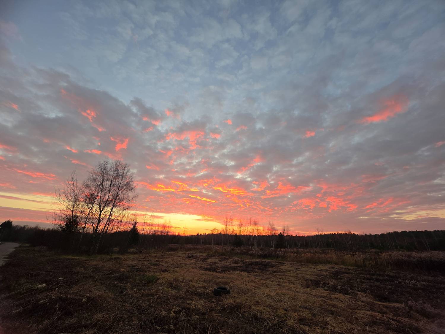Photo #13750450