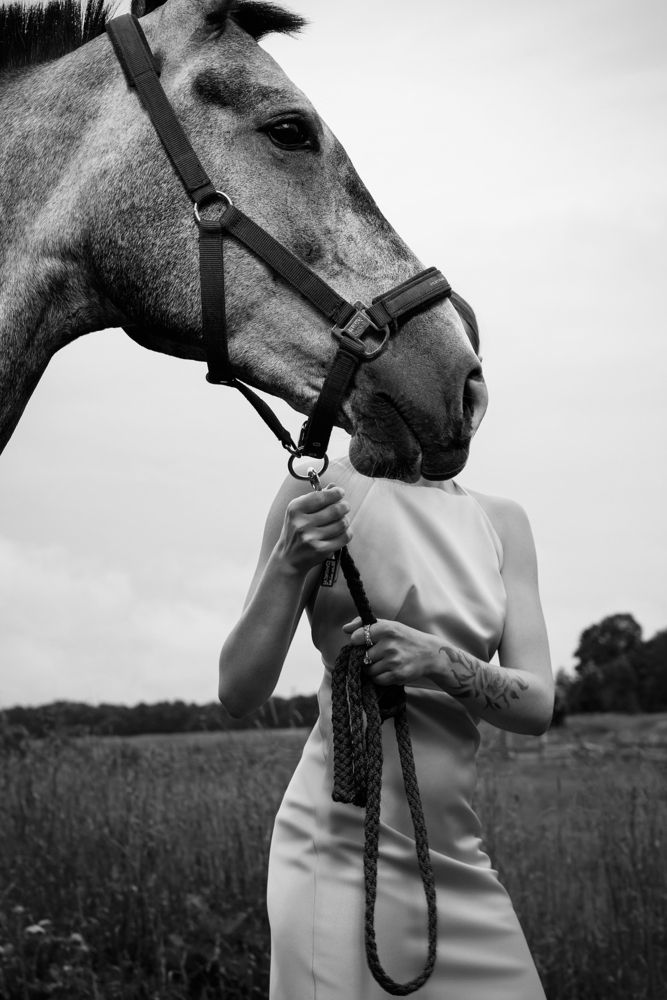 Photo #13750499